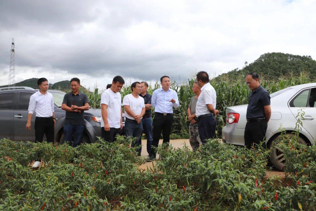 冷泉镇:探索"人大代表 集体经济"模式赋能乡村振兴_发展_路径_方法