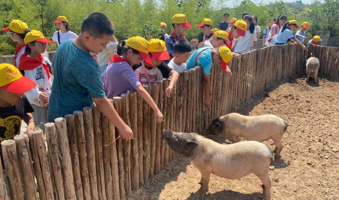 通过近距离地接触和认识了解常见小动物的外形特征和生活习性,激发