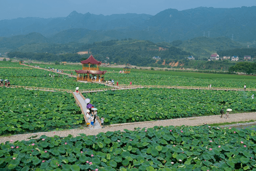 溆浦讯|国家级名单公示!水东镇刘家渡村入选_乡村_治理_示范