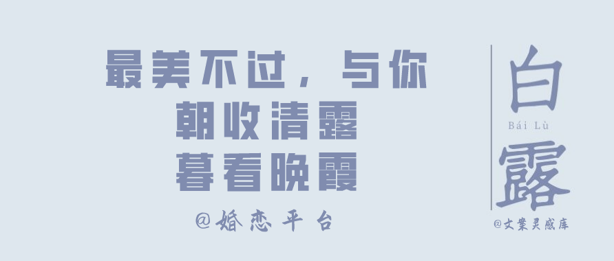白露节气 各大品牌文案
