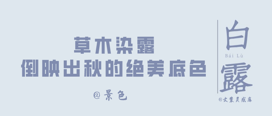 白露节气 各大品牌文案