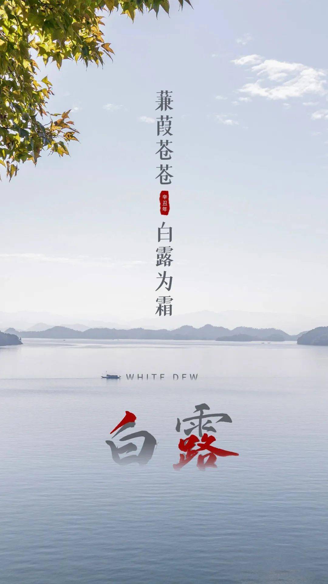 白露节气 各大品牌文案