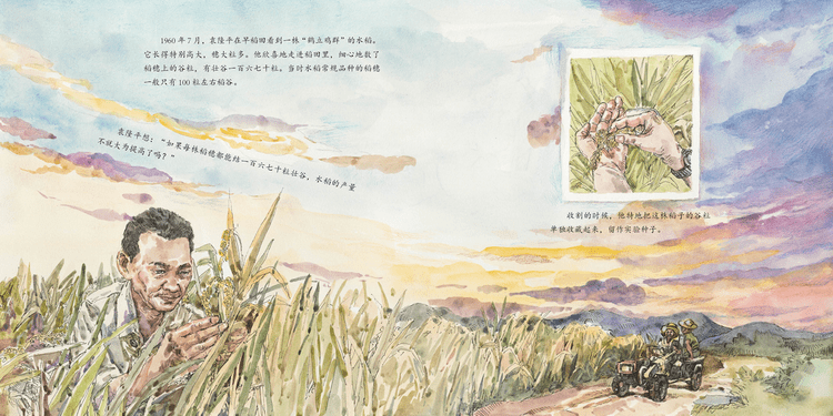 《禾下乘凉梦——袁隆平的故事》导读 | 纪念袁隆平诞辰93周年