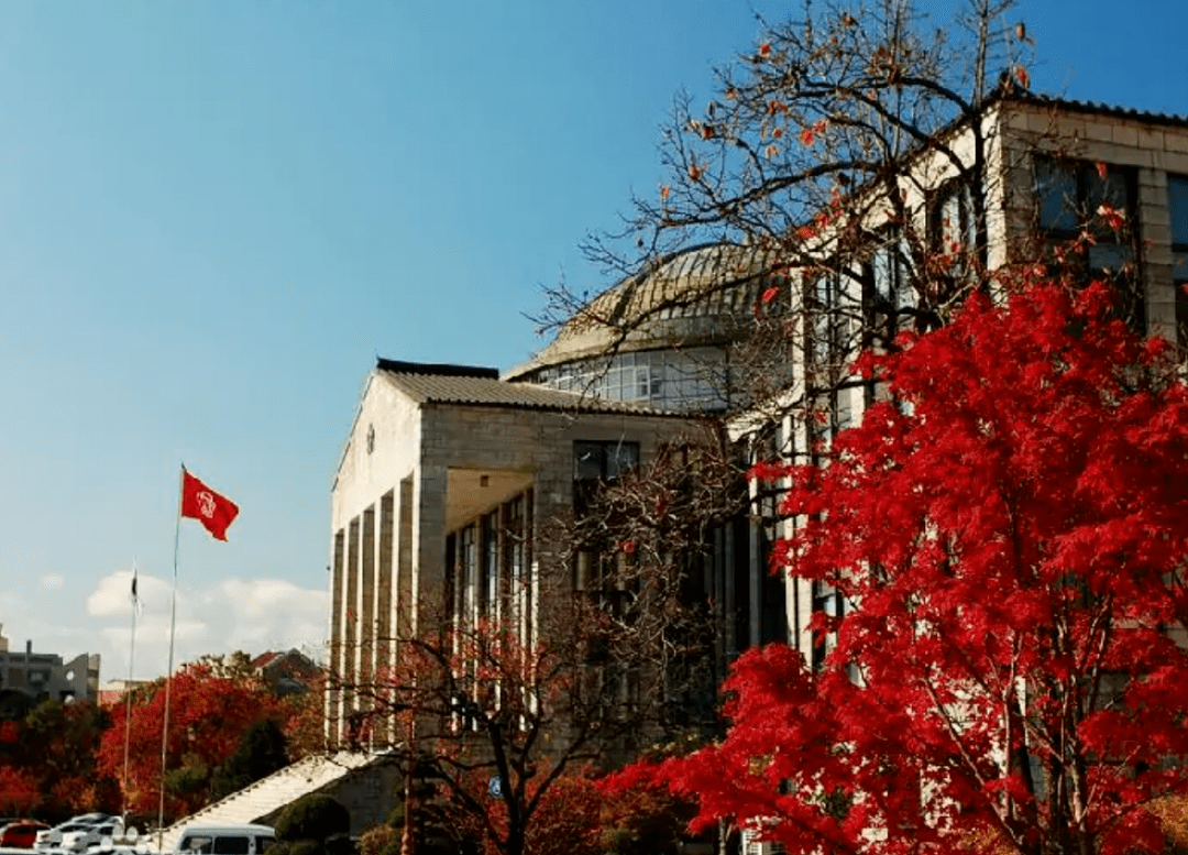 【招生简章】2024年3月韩国国立庆北大学本科