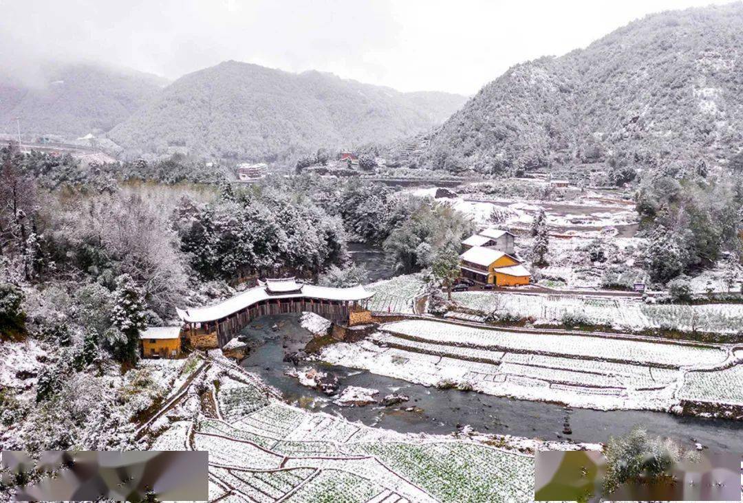 在线影展 | 徐振辉: 摄影好比生活,要善于发现美好,及时记录美好_作品