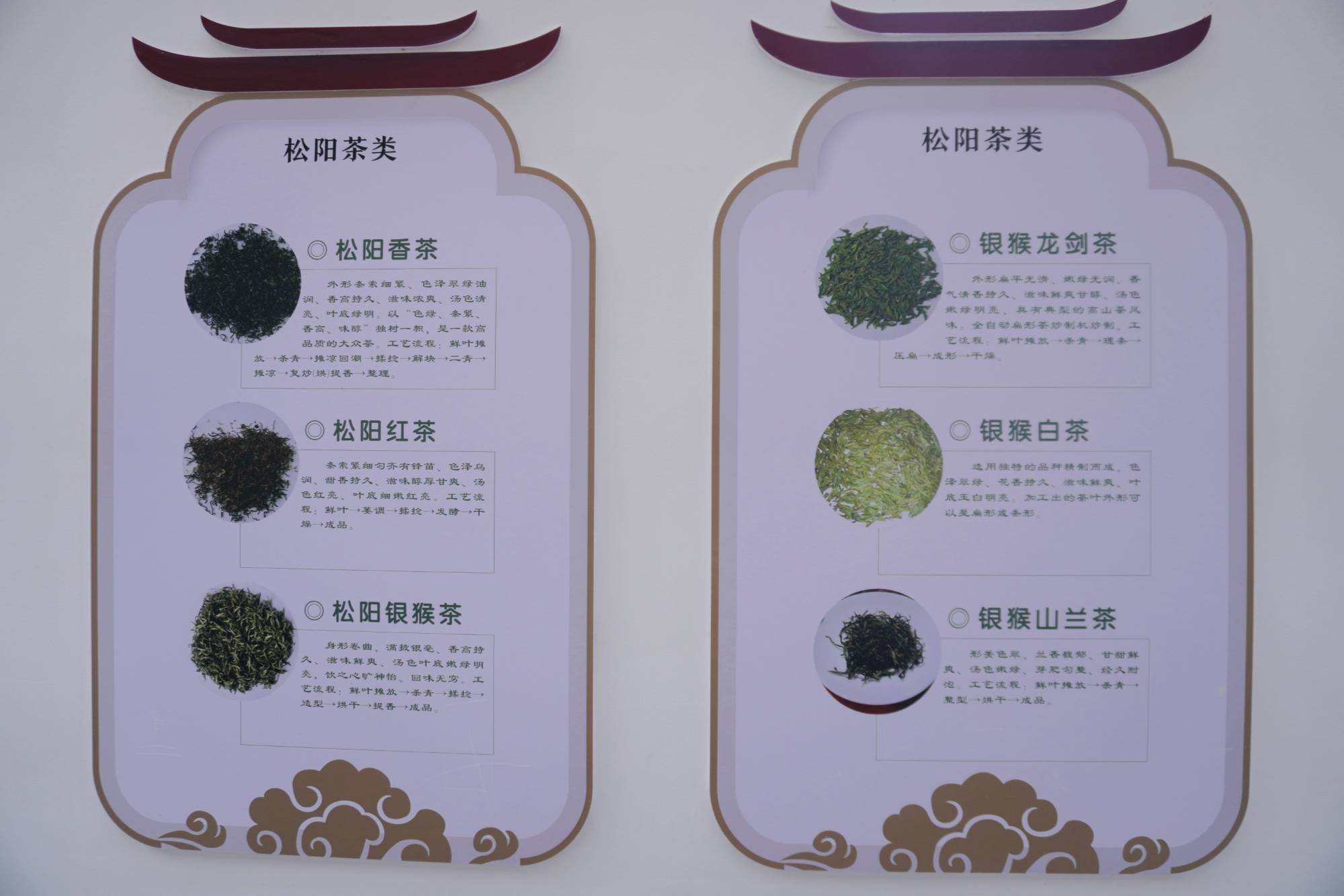 【央广网看浙江】以茶促旅,松阳奏响茶旅融合"富民曲"_茶园_茶叶_大木
