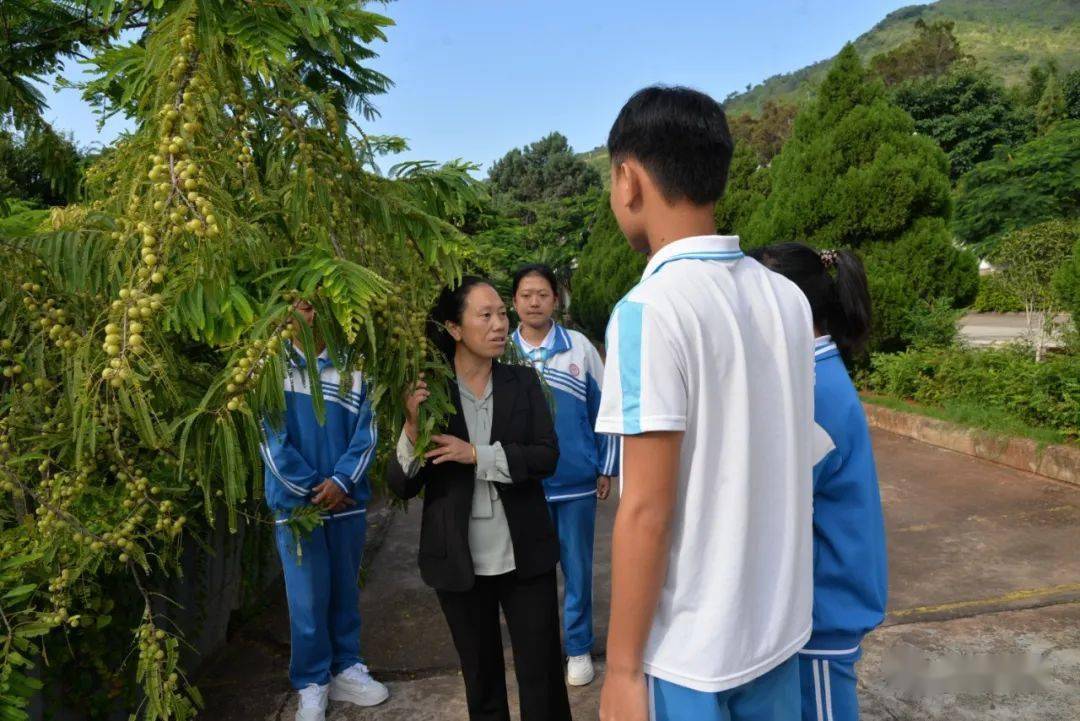 毕业后她毅然选择回到家乡教书,同年7月分配到南涧县民族中学工作至今