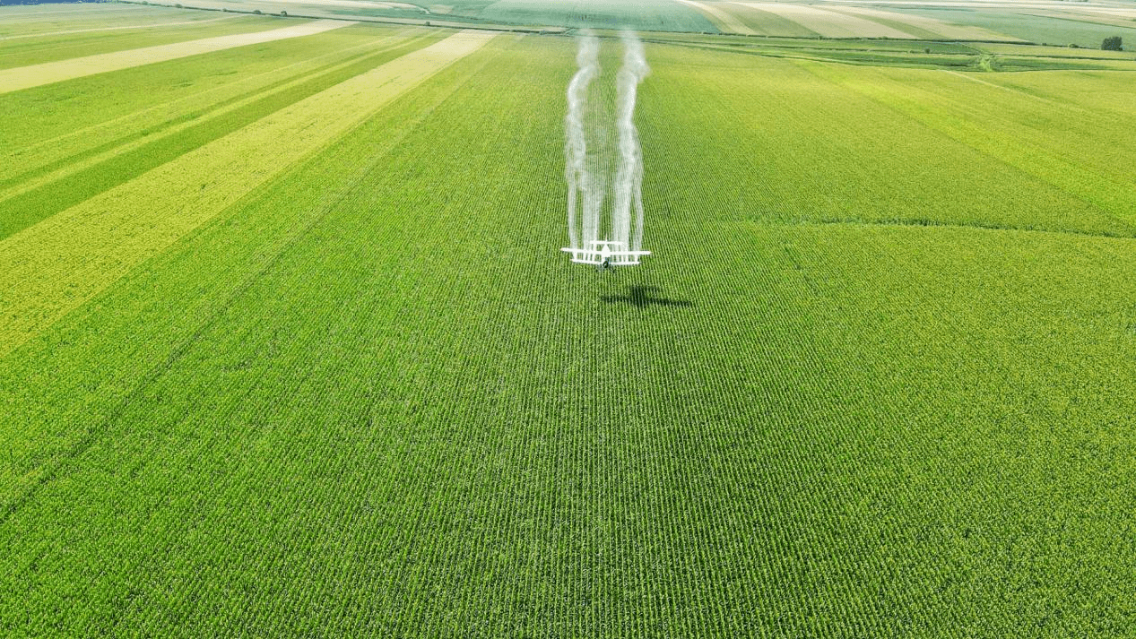 北大荒集团五九七农场 高标准农田建设让"良田粮用"_管理_产能_农业