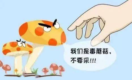 健康科普 | 野生蘑菇中毒高发季,健康提示——_食用_有毒_症状