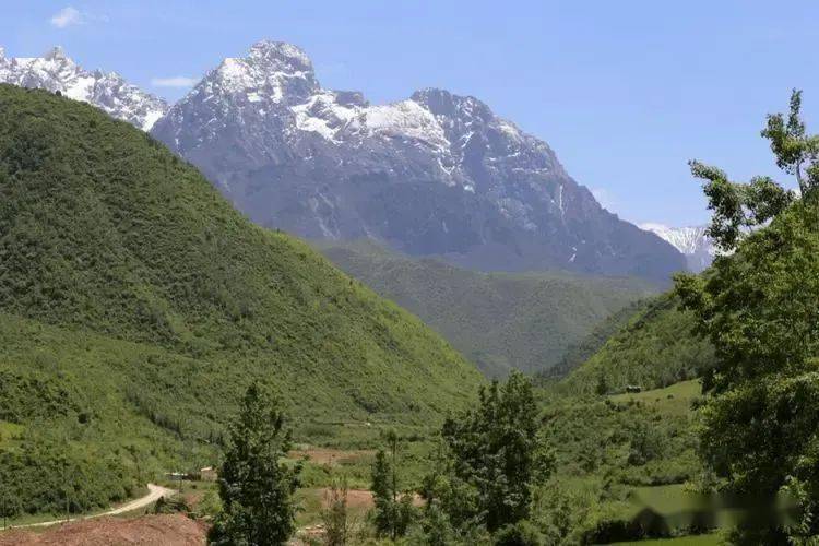 很早就与朋友约好去位于和政县境内的耳子屲梁观赏高山草甸,原始森林