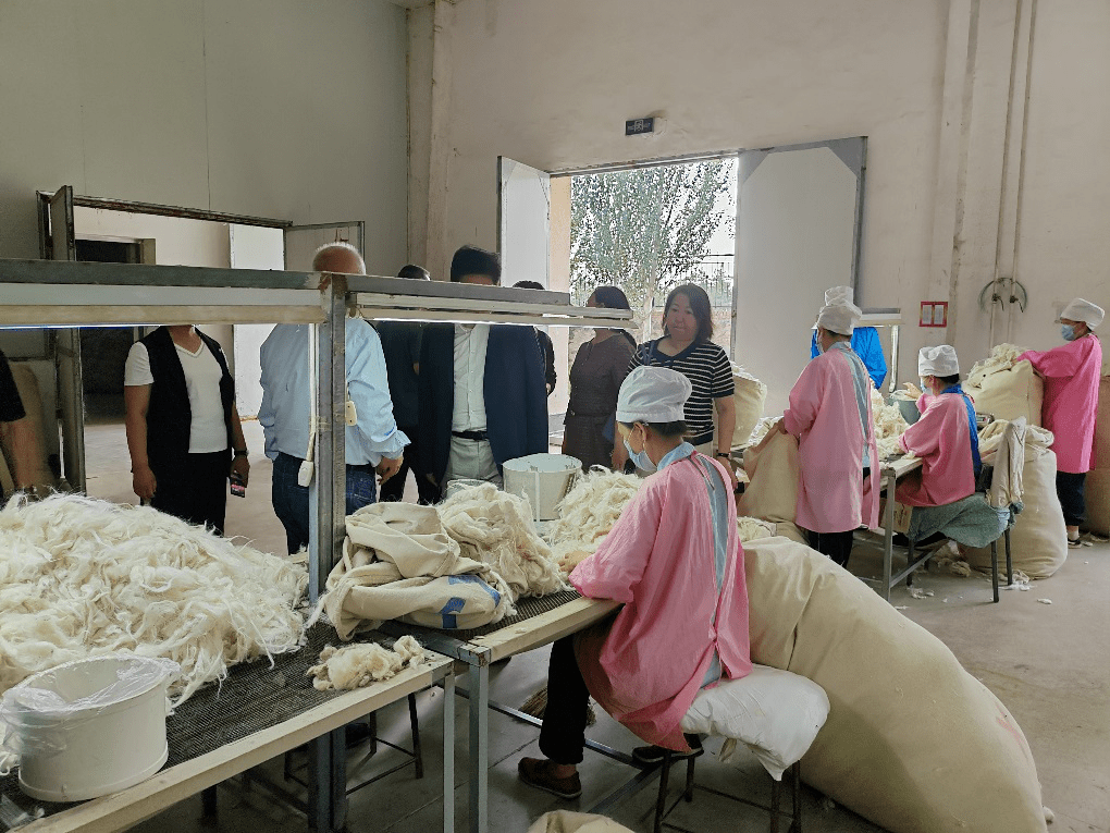 内蒙古纤维质量监测中心承担的一项自治区科技计划项目启动_羊绒_车间