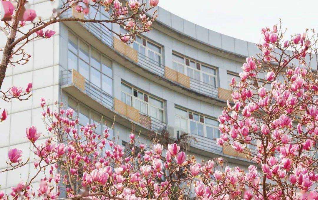 光听名字就已经令人心生向往了,其中杏园,竹园多为研究生宿舍,基本为