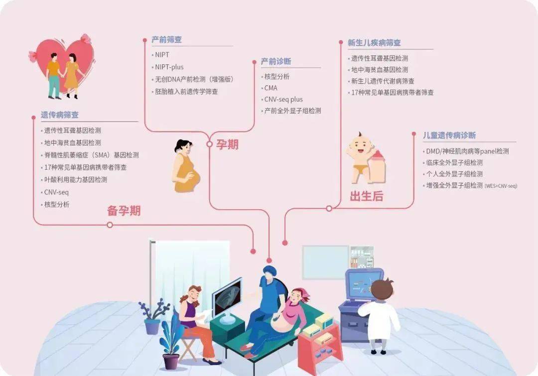 基因编辑