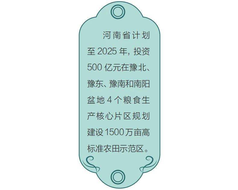 河南农资市场巨变_河南现代农业投资机会_农村农资市场空间