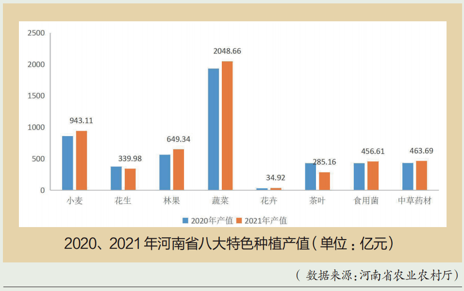 农村农资市场空间_河南现代农业投资机会_河南农资市场巨变