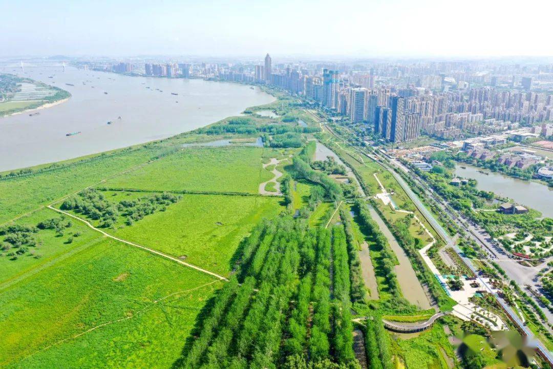 打卡芜湖百里江湾，是什么感觉？_搜狐网
