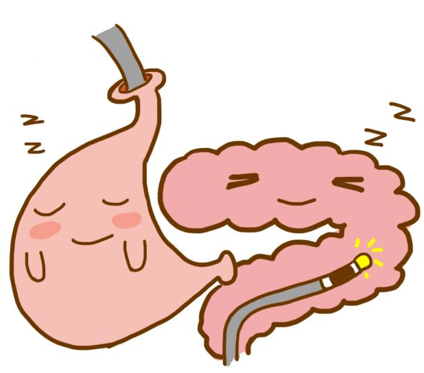 这是相当猛了带我向咱的太奶问好注意,喉镜,支气管镜经食管超声心动图