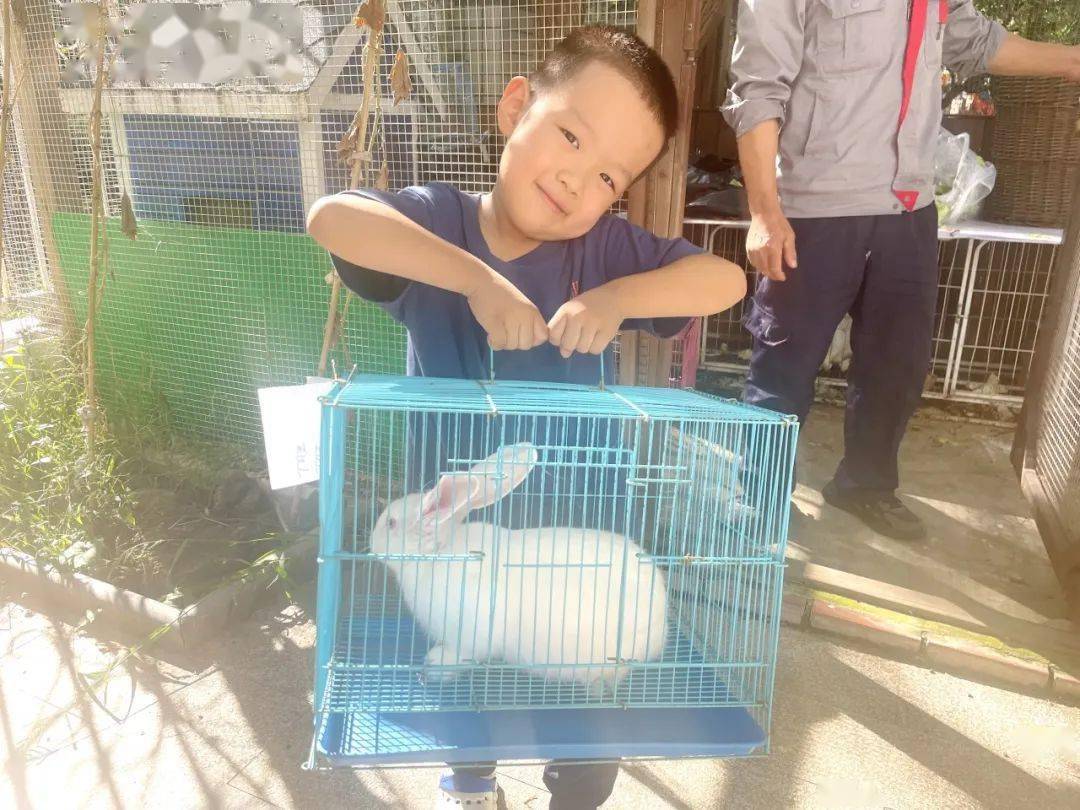 我与萌兔有个"约会"——中班萌兔领养活动纪实