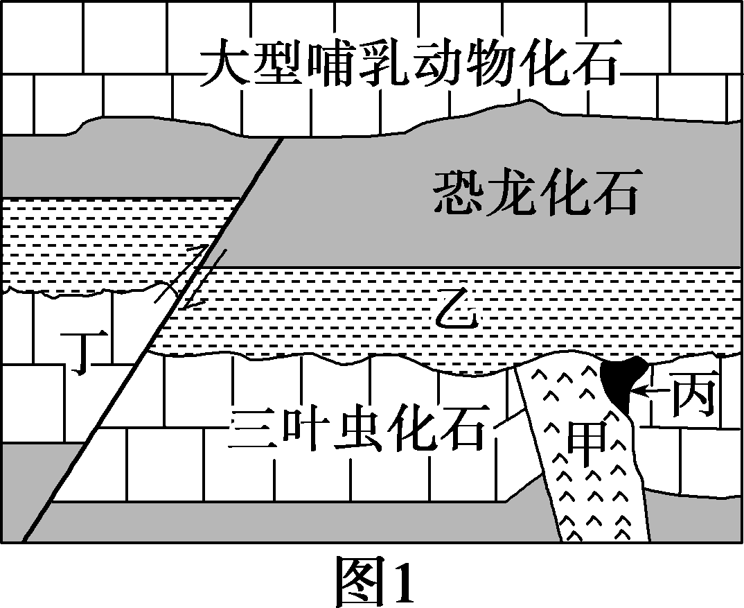 金山镇地质图ab剖面图图片