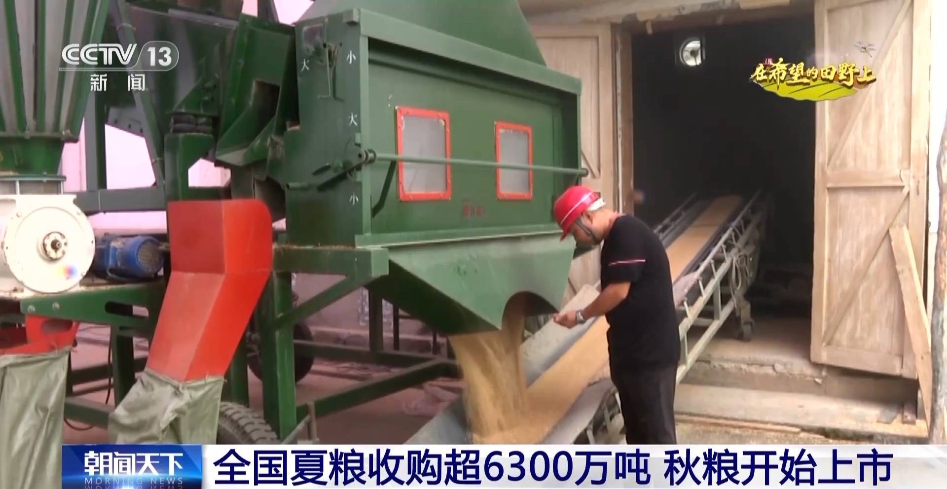 夏粮旺季收购近尾声秋粮开始上市 各地加大力度保护农民利益_市场_政策_国家