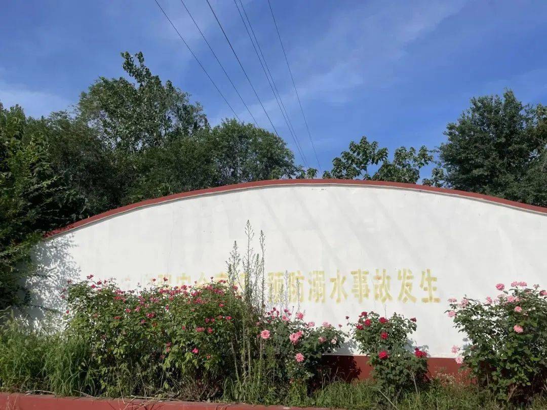【倡树美德健康新生活】诸城市皇华镇人居环境成果展示_整治_工作
