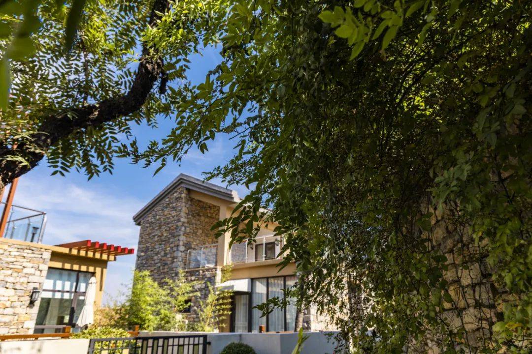 山间优境 养心怡情丨与其向往,不如向快乐出发!_乡村_自然_生活