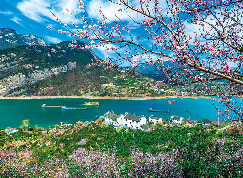 瞭望 新征程上奋进世界一流_企业_国家_三峡