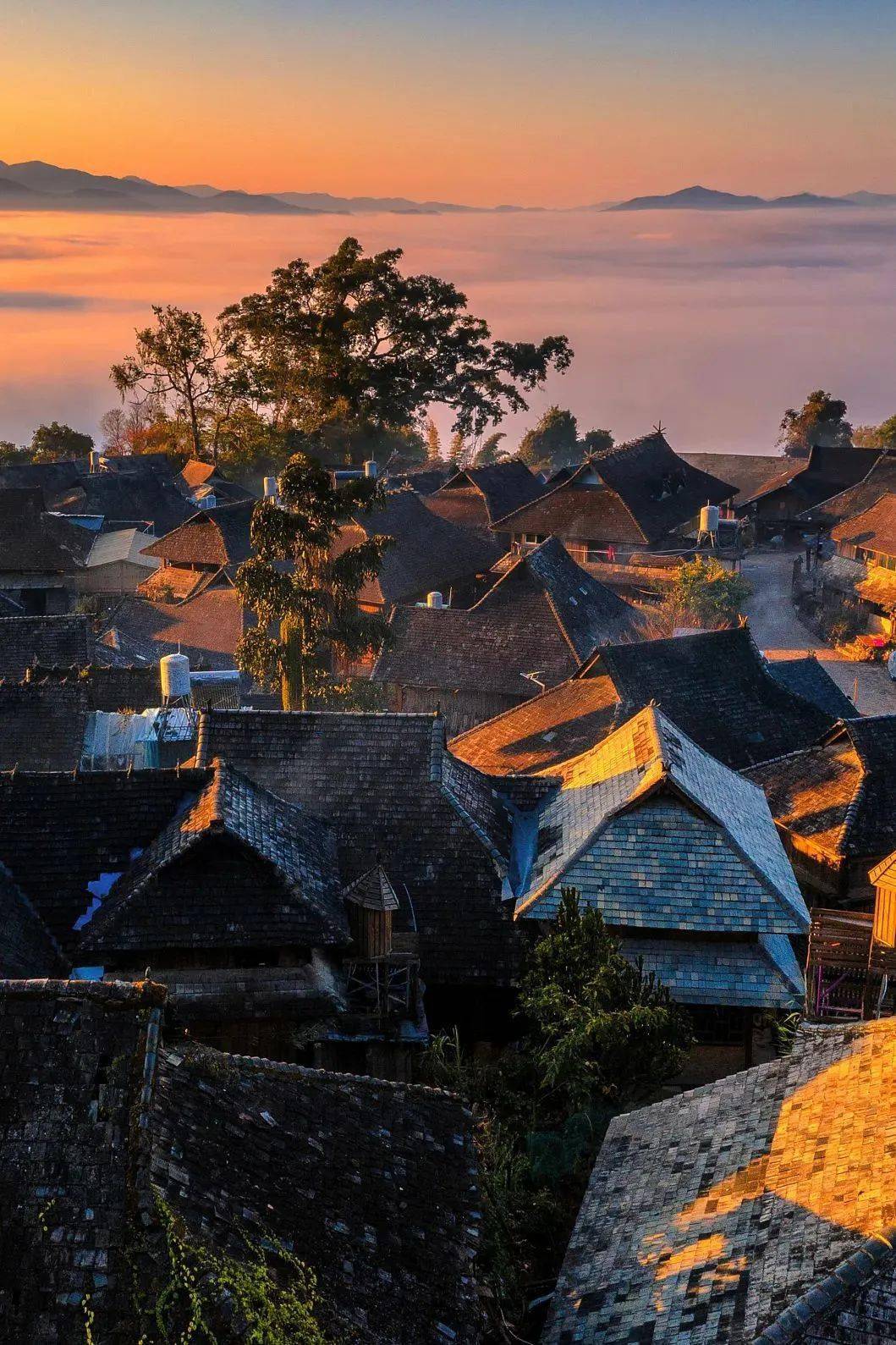 美国《国家地理》杂志一年一度的"最佳旅游目的地"评选中,景迈山就
