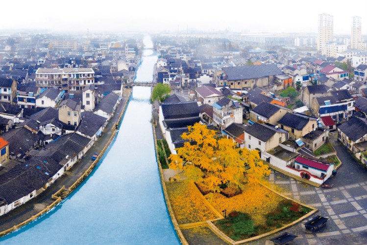 横塘河在此穿街而过浓浓的水乡古镇风情扑面而来走在老街上周铁老街