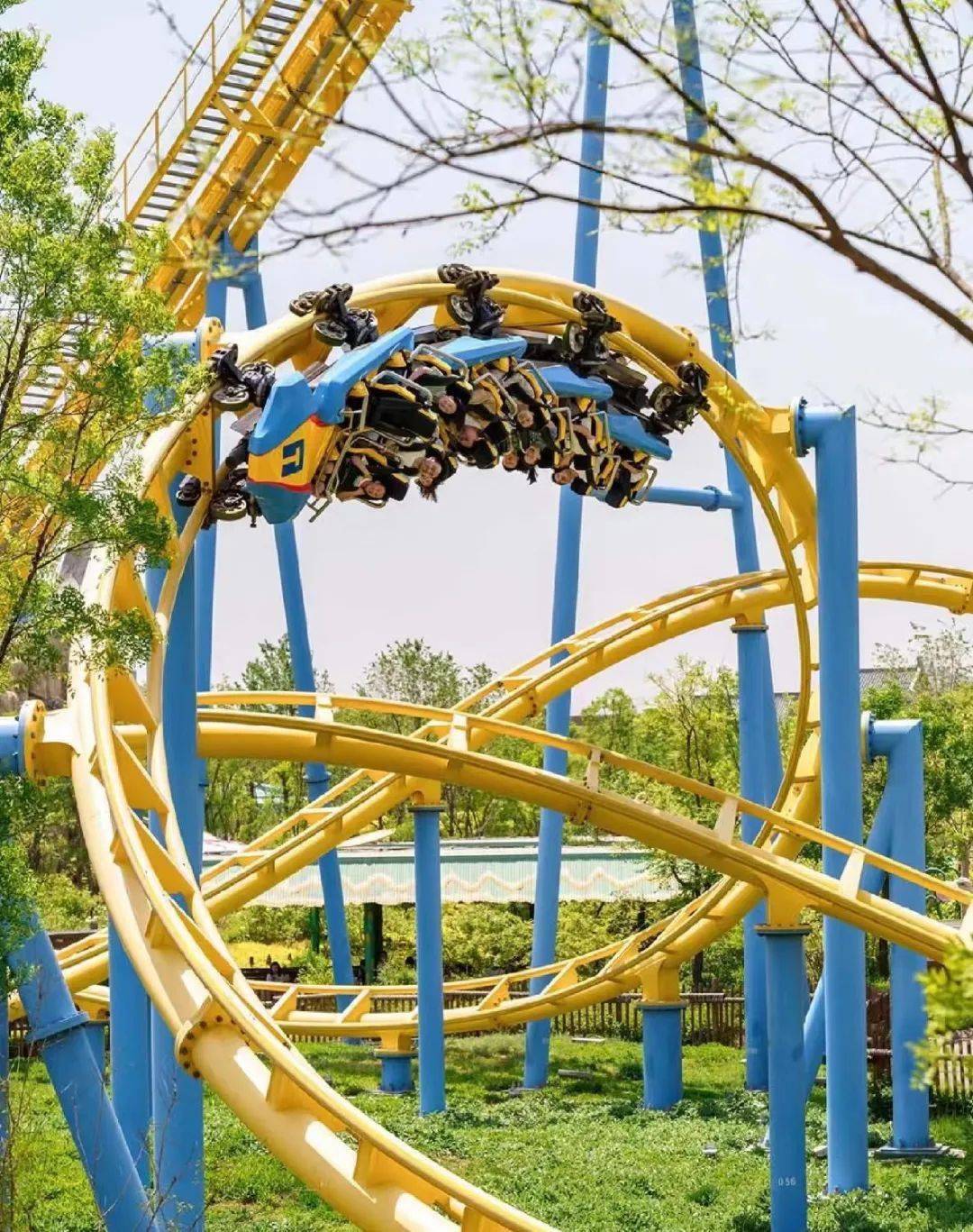 门票免费送!送!送!_景区_红海_蓬溪