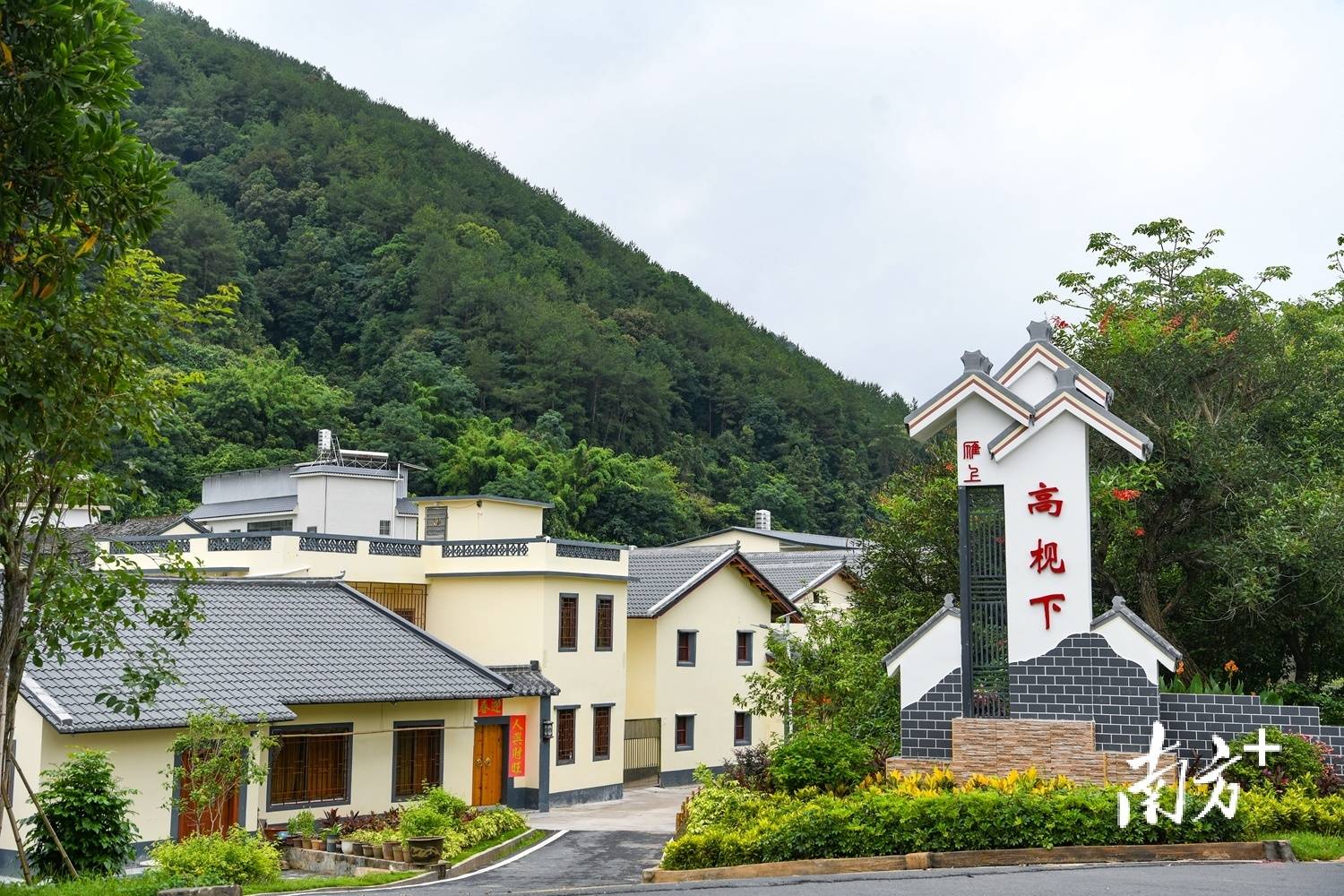 三棋并落,盘活梅县区雁洋镇发展"家底"|竞跑百千万·梅县镇能量76