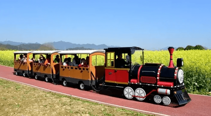 9月22日约起来,邀您赴一场秋日赏菊盛宴~_菊花_麻城_人家