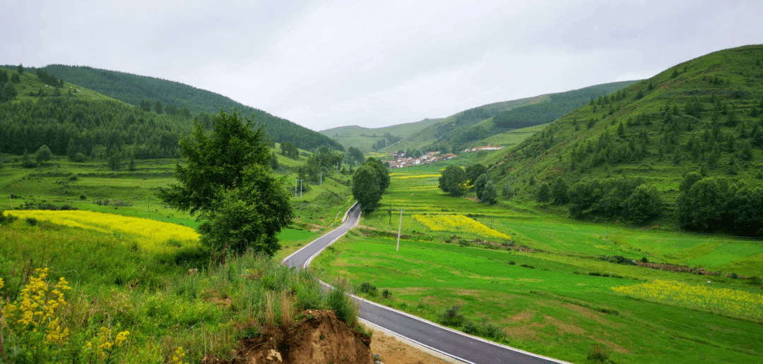 育肥的螃蟹)→桑干河湿地公园→火山地质博物馆→忘忧农场