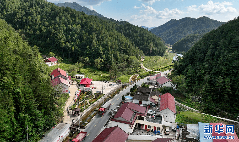 柞水县红岩寺镇盘龙寺村民居改造,白墙红瓦顶在苍翠的松树映衬下显得