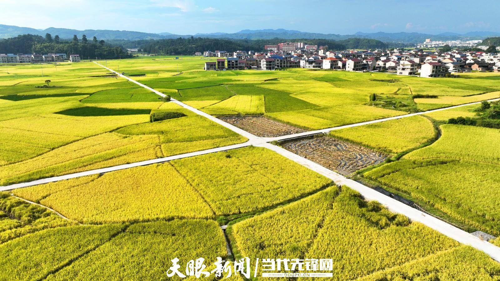 錦屏敦寨:田園多