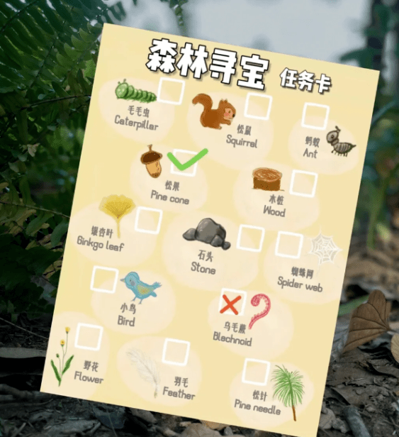 2023曼乔红枣音乐节