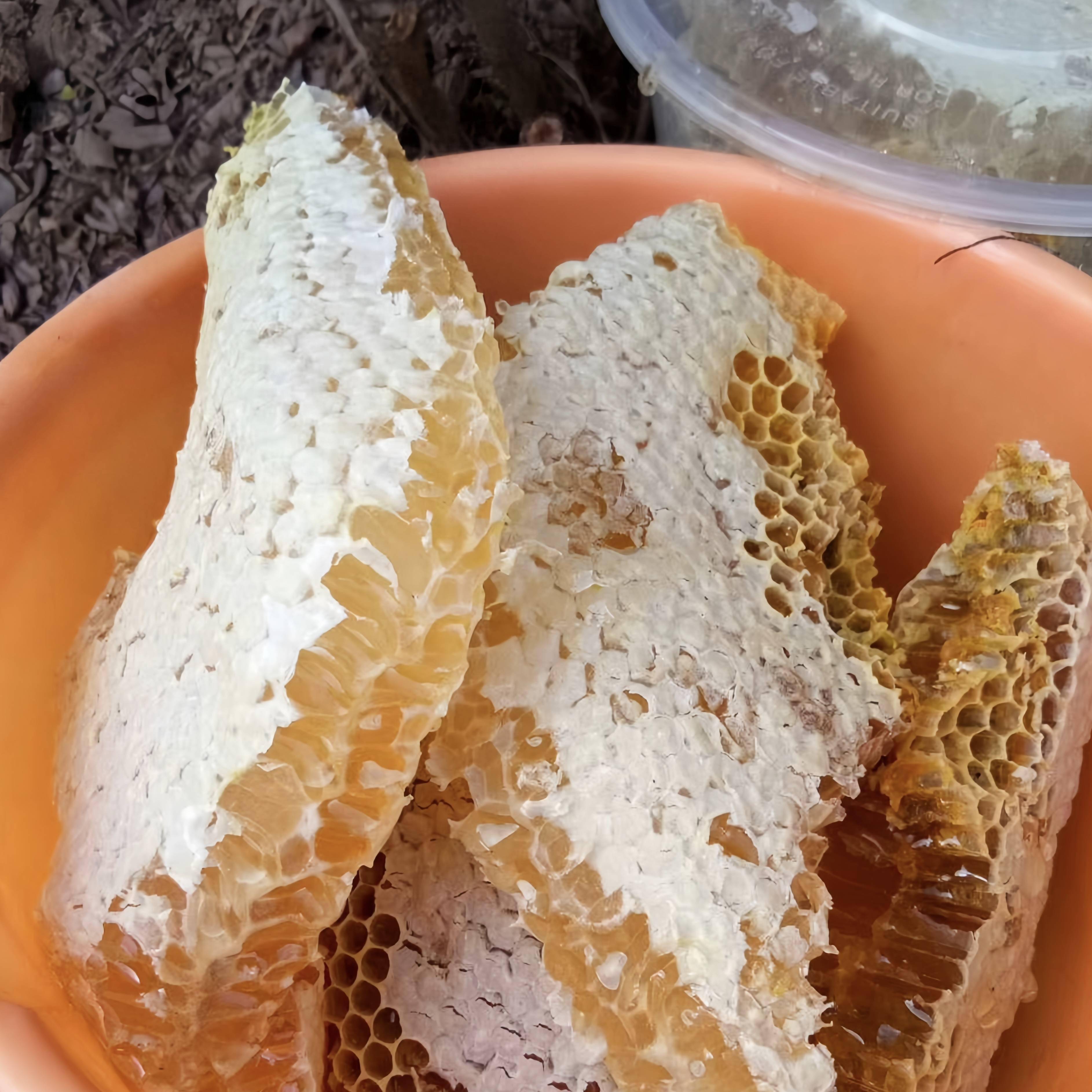 蜂试养基地的土蜂蜜与我们常见的蜂蜜不同,这里所用的蜂种是中华蜜蜂