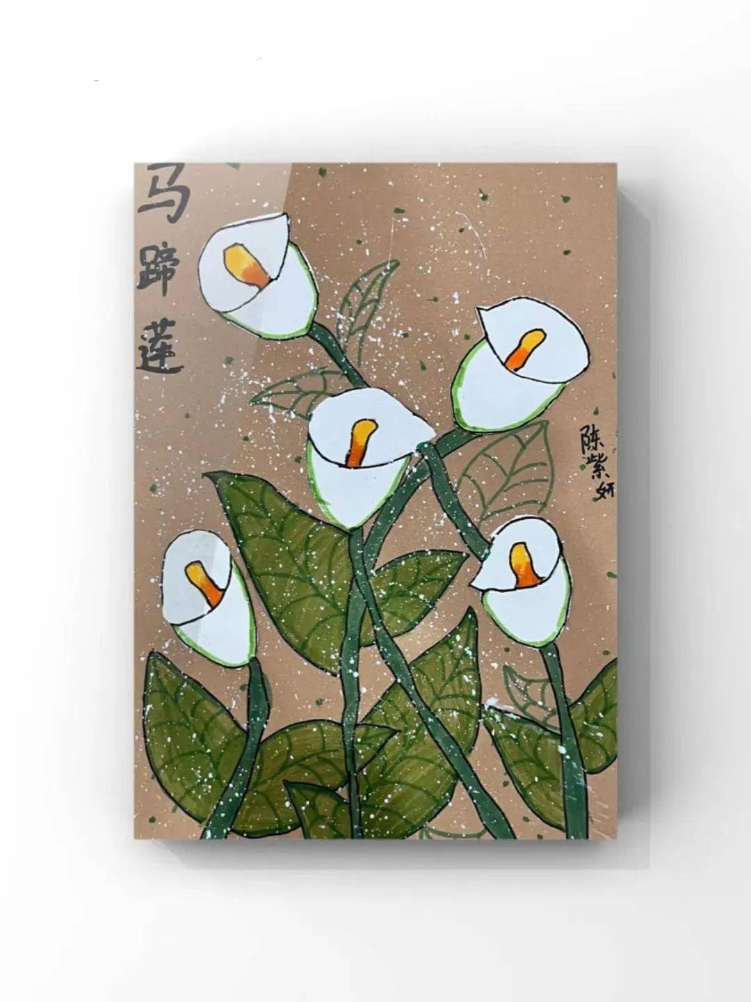 【云画廊 ▏每日一画】102班61陈紫妍《绽放的马蹄莲》(1139)_孩子