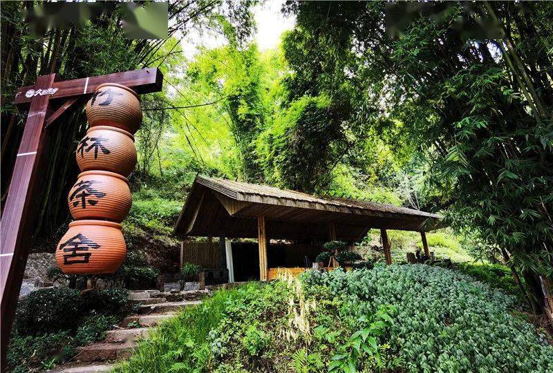 国庆趣秋游丨解锁陶家镇旅游新玩法!邂逅诗意深秋_乡村_原乡_九龙村