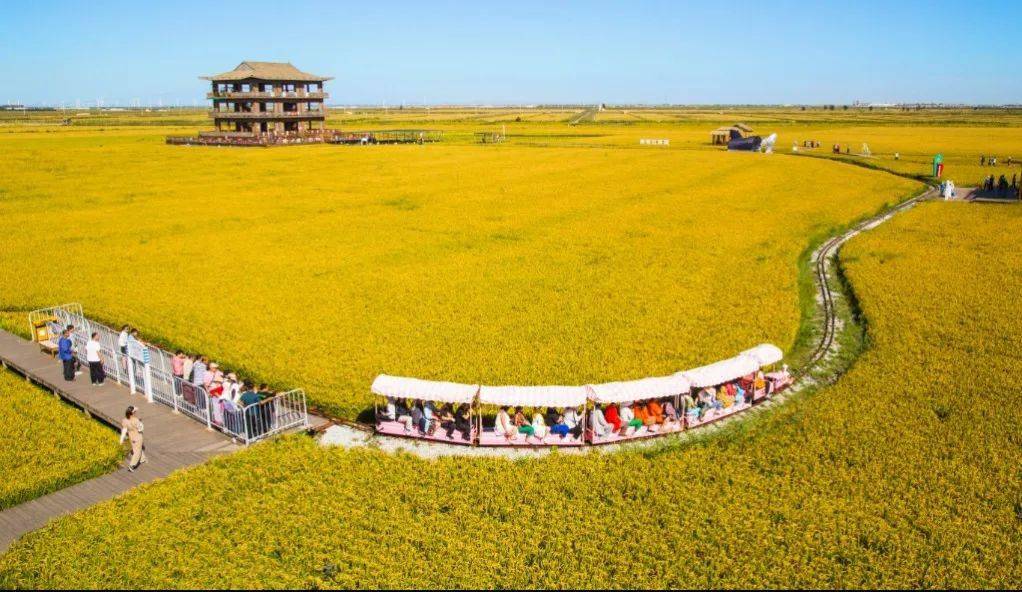 文旅结对 | 10月31日之前盘锦红海滩国家风景廊道对无锡市民免门票