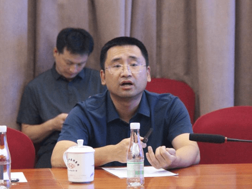 戴炜辞去安徽黟县县长职务,不再副市长,县长"一肩挑"_黄山_会议