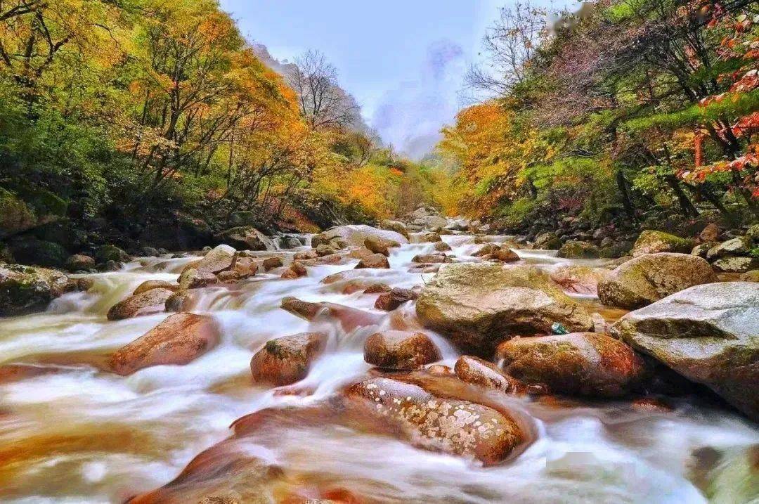 太白县_景区_红叶