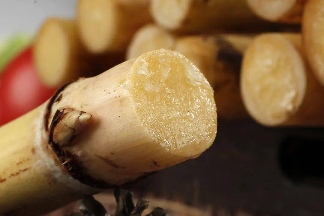 【舌尖上的广西】木格白玉蔗——白玉一节蔗 难忘一生甜_种植_甘蔗