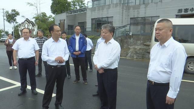 总工程师谈华初,黄冈市委常委,副市长荣先国,麻城市委书记汪国兵,市委