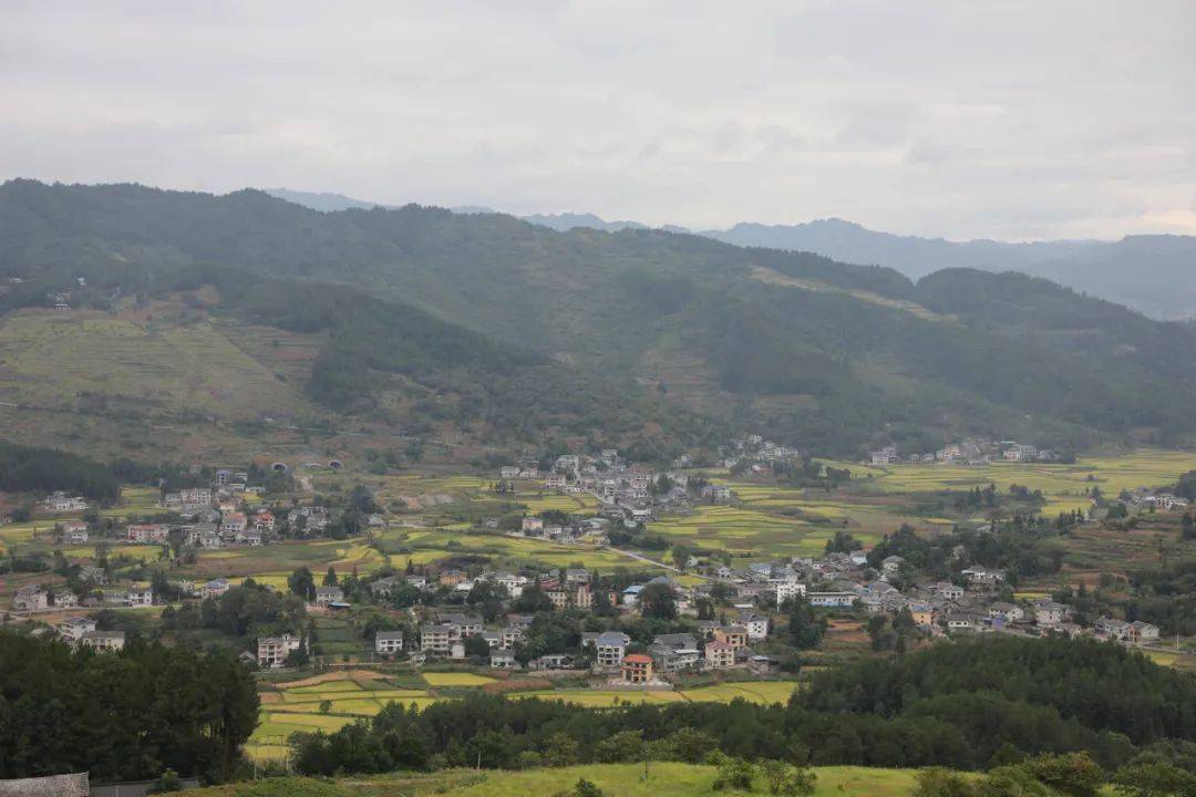 【乡村振兴示范地】清源村:强化"五强组织"着力打造"花香稻甜·富裕