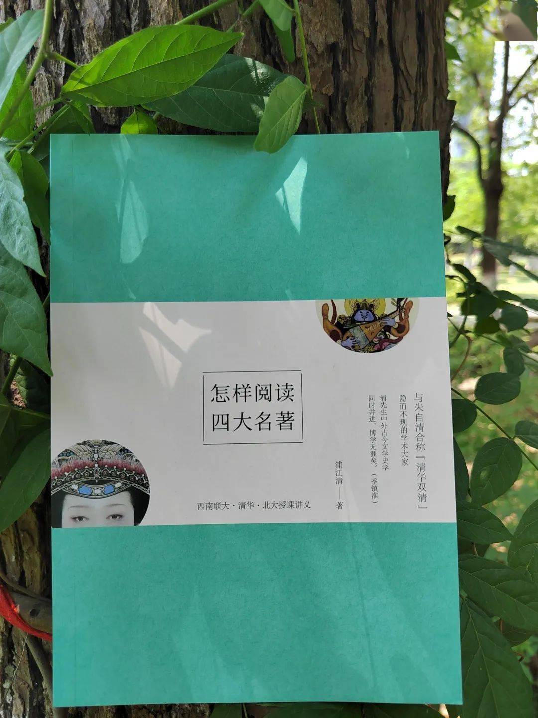 名家选评本 | 一看就犯困的四大名著,这次孩子竟然废寝忘食地看完了!