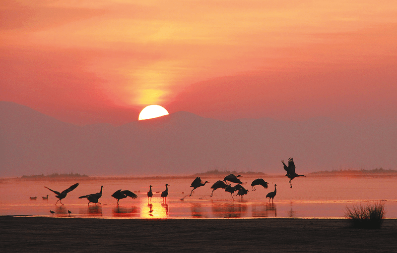 用一道道"护身符"维护"地"的蓬勃生机 牢牢构筑起湿地生态保护屏障