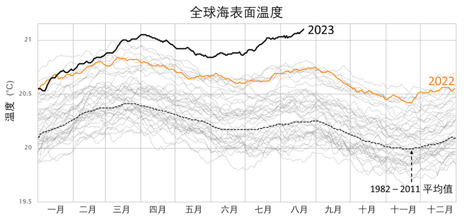 今年,全球海表面温度在三四月份开始就显示出远超过往年份的趋势,截止
