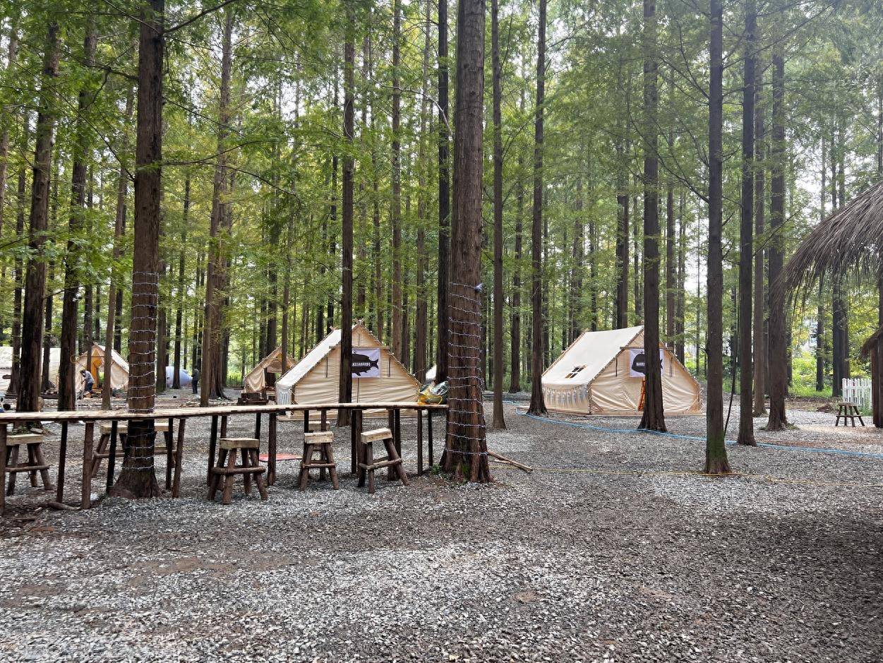 南湾林间有鱼·杉屿森林露营地9月29日开营!_水杉_特色_帐篷