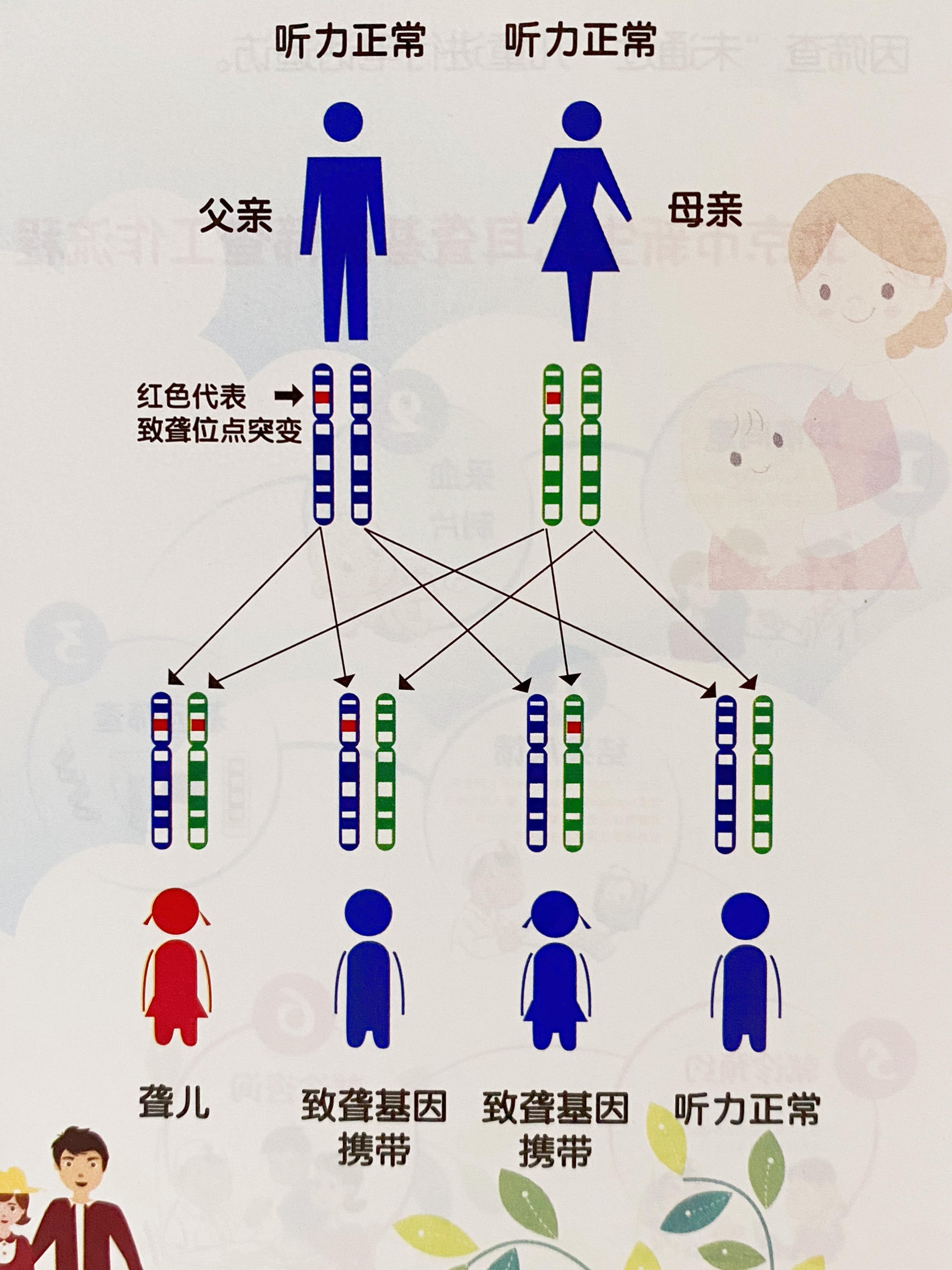 心脏遗传病有哪些和遗传病有哪些的详细介绍